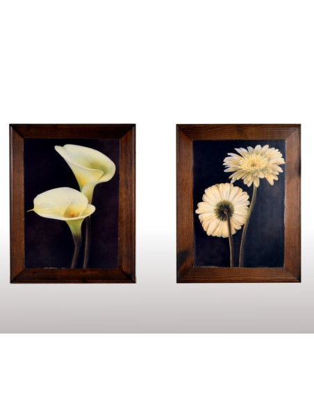 Pareja de cuadros rústicos flor