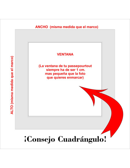 Cartón de passepourtout BLANCO