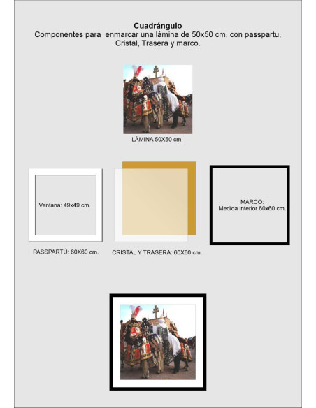 Cartón de passepourtout CAMEL