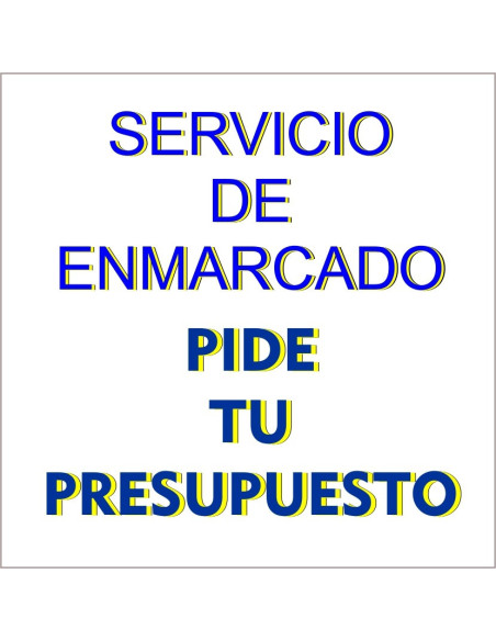 Te lo enmarcamos Pide presupuesto